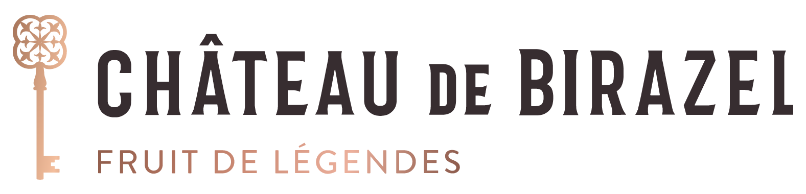 Logo Château de Birazel